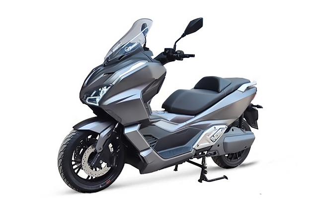 CJR MOTORECO Lion Elettrico - CMTmotor